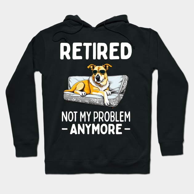 Retired not my problem anymore Hoodie by RusticVintager